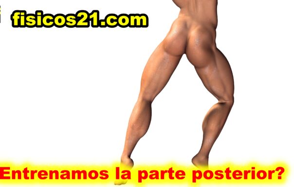 Entrenamos nuestra parte posterior?